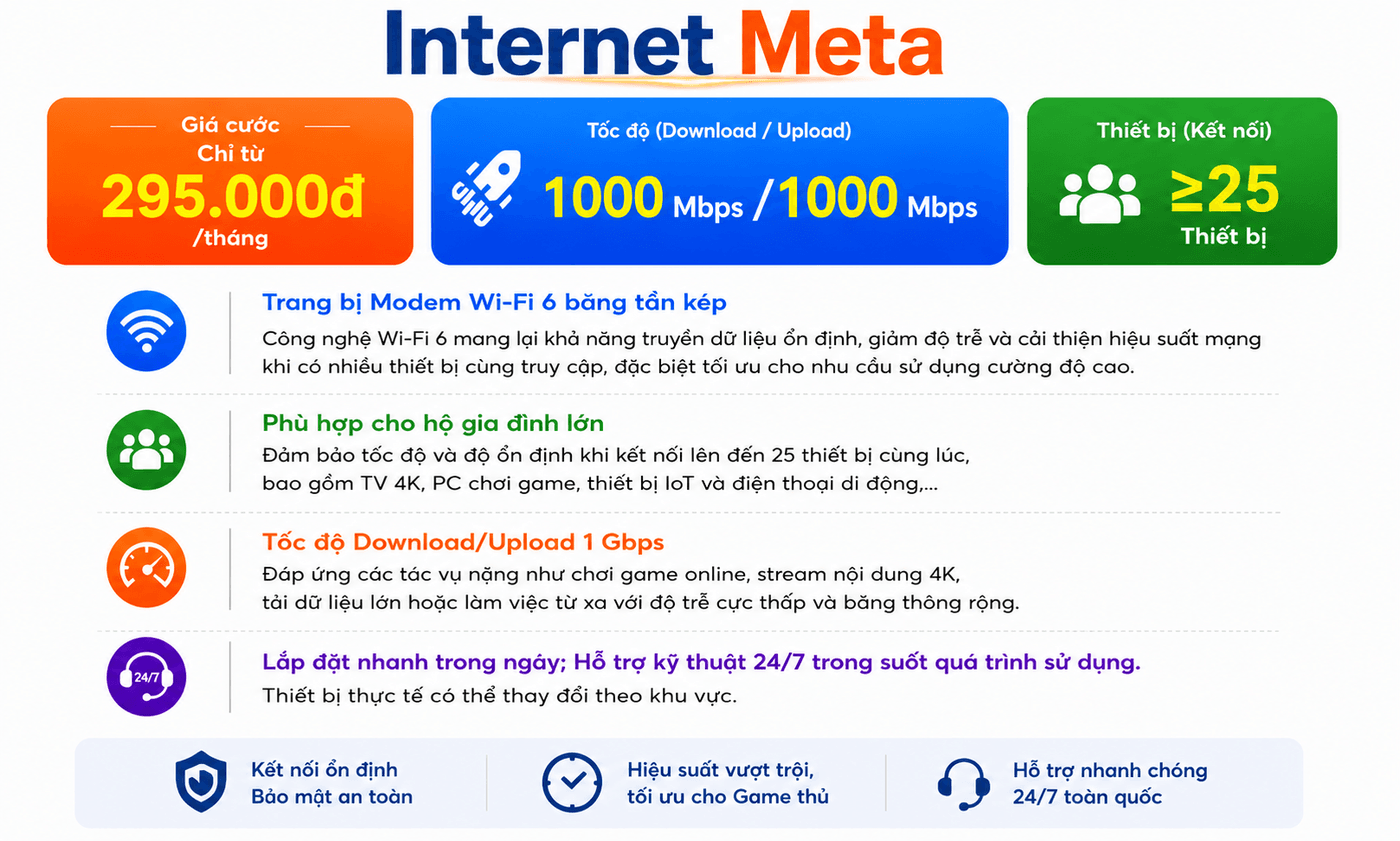 Chi tiết Internet Meta